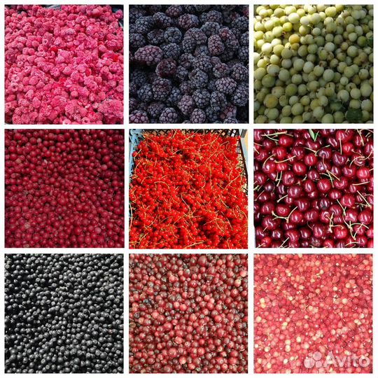 Замороженные ягоды