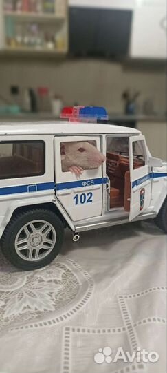 Домашние животные бесплатно