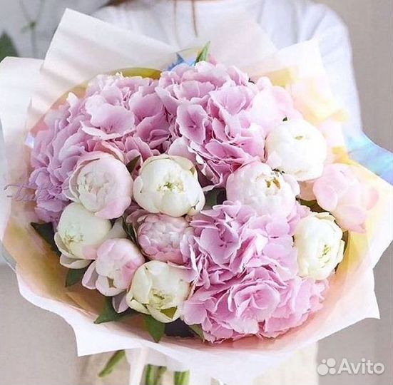 Пионы Букет пионов