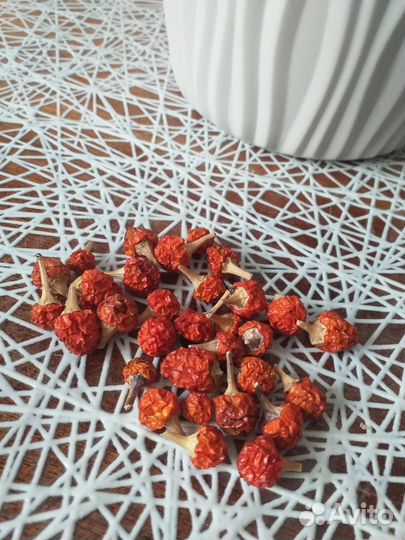 Перец комнатный острый