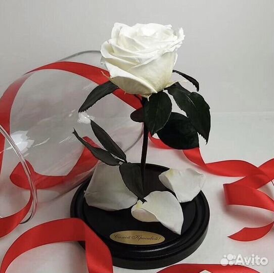 Роза в колбе