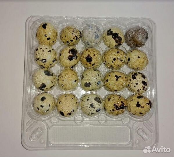 Упаковка для перепелиных яиц