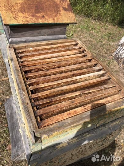 Ульи для пчел