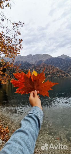 Самый насыщенный тур по осенней Абхазии