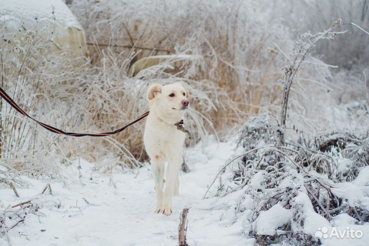 Белуччи хочет найти мам пап