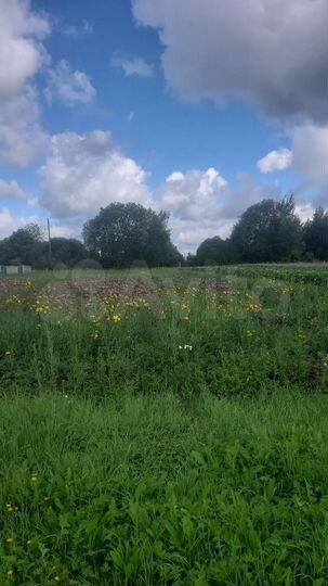 Участок 20 сот. (ИЖС)