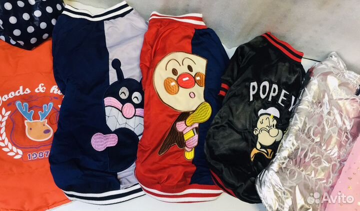 Одежда и обувь для собак