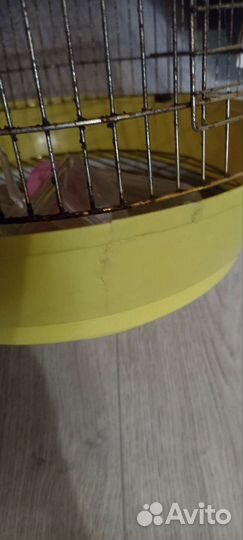 Клетка для попугая