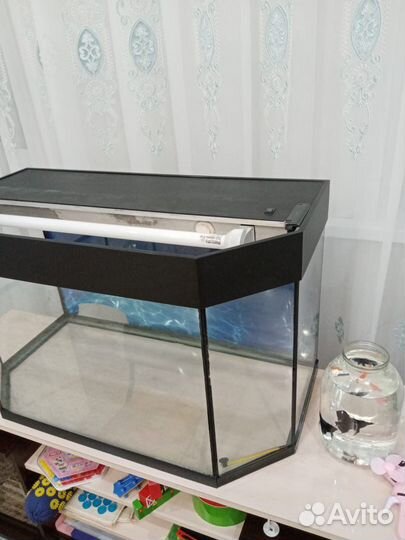 Аквариум с рыбками