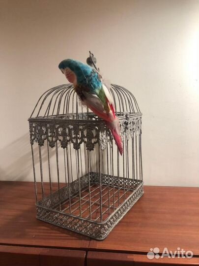 Клетка для птиц декоративная 60см. х 40см. - 6 шт