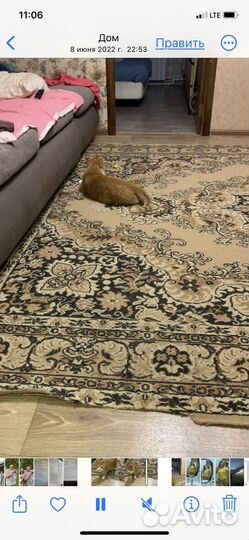 Ковер 250 на 350