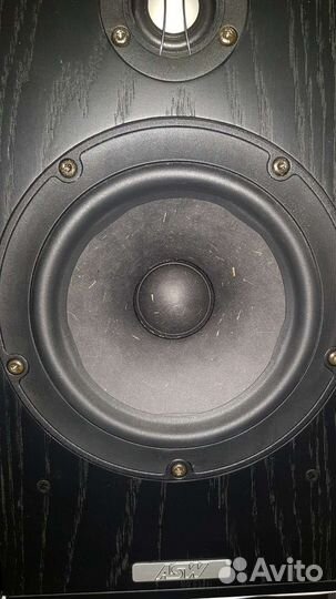 Акустические колонки ASW genius 110
