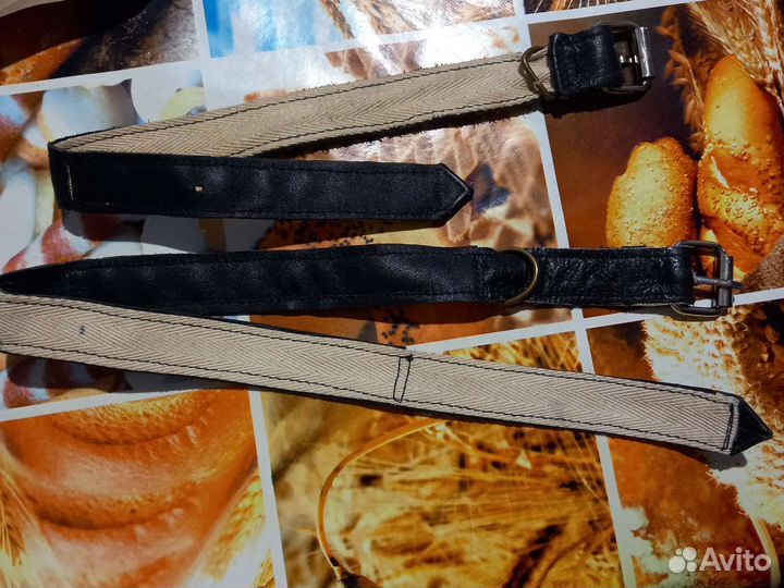 Ошейник для собак