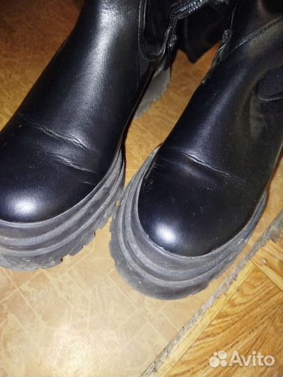 Сапоги женские ботфорты