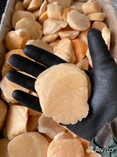 Красная икра, рыба, морской гребешок, краб