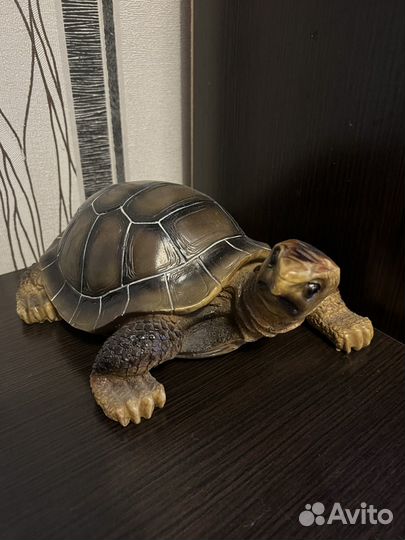 Черепаха фигурная