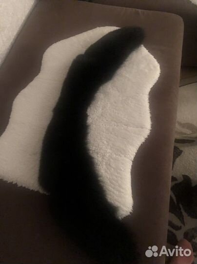 Воротник песец черный