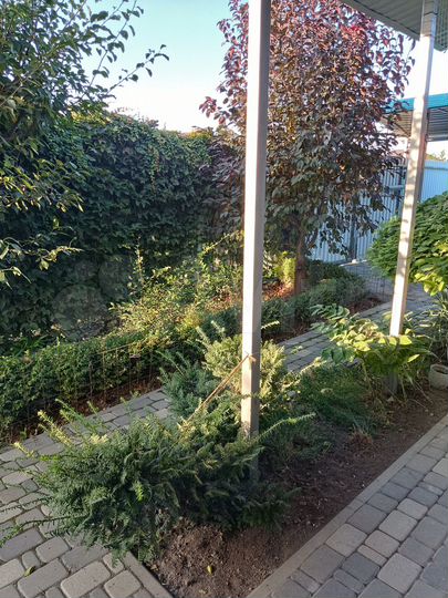 Дом 85 м² на участке 5 сот.