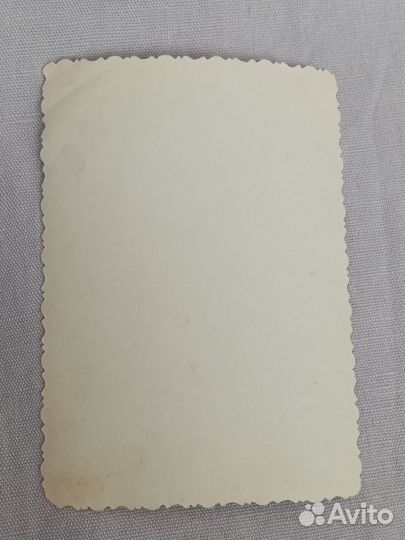 Фотография автовокзал автобус Новгород Ленинград