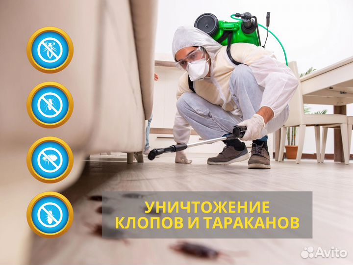 Дезинфекция,дезинсекция клопов, тараканов, клещей