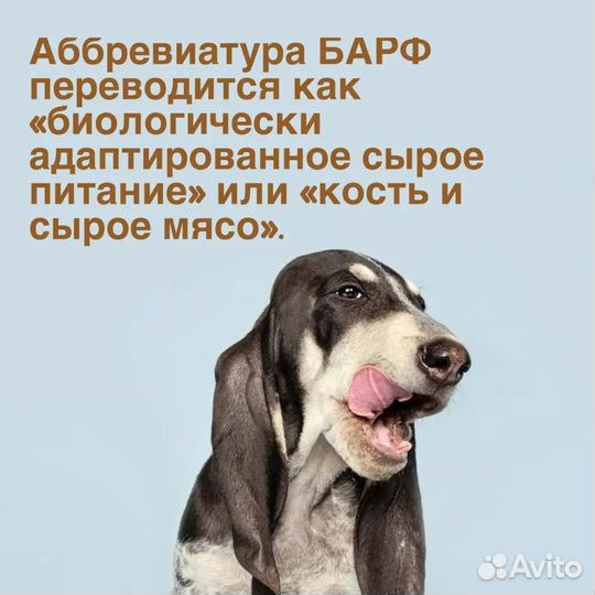Натуральный корм для собак