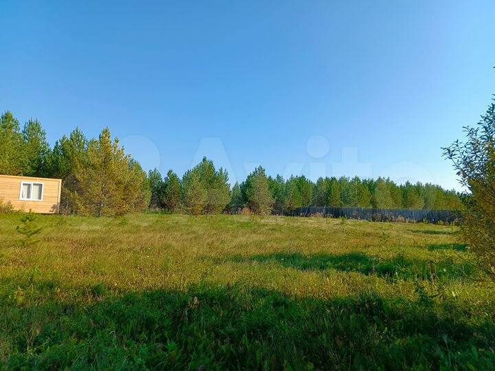 Участок 100 сот. (СНТ, ДНП)