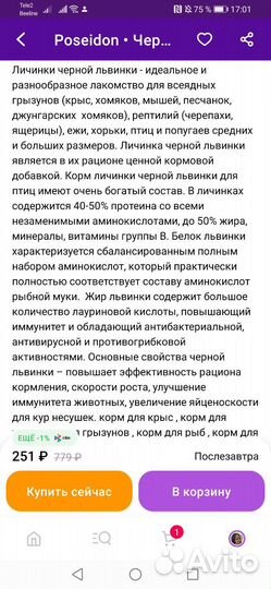 Лакомство для грызунов