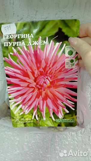 Продам сортовые клубневые георгины