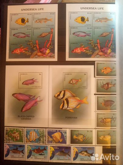 Альбом с марками (Рыбы)