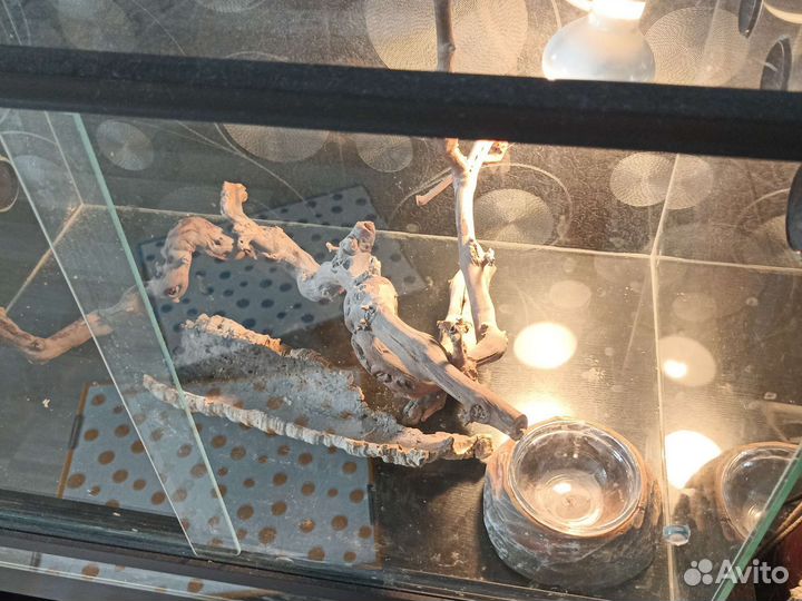 Аквариум для ящериц