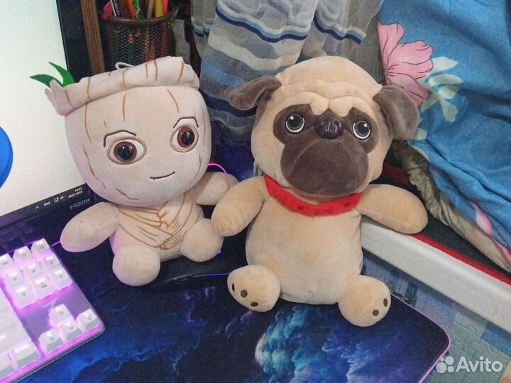 Кот, собака