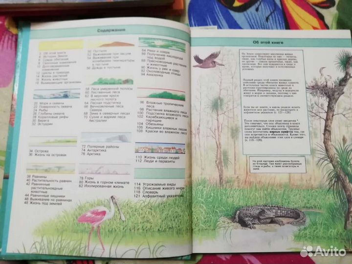 Энциклопедия Живой мир