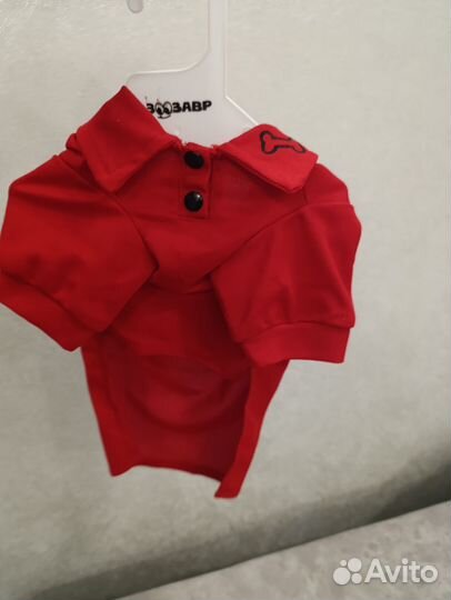 Одежда для маленьких собак м