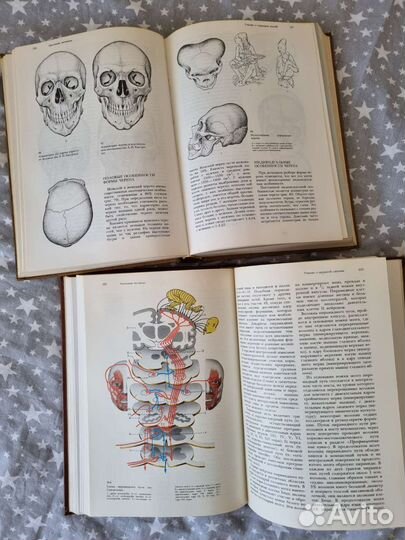 Атлас анатомия человека