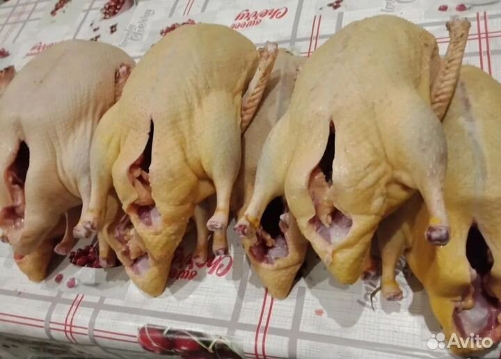 Мясо домашней птицы