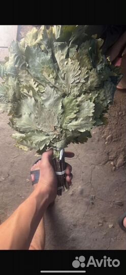 Веники для бани