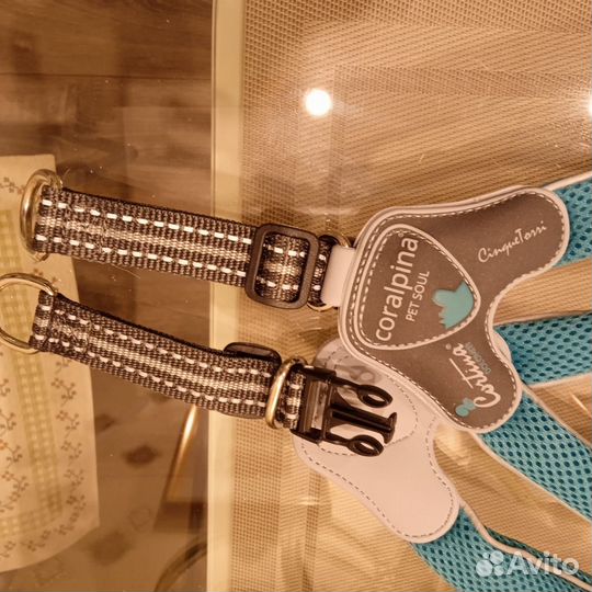 Шлейка для собак быстросъемная, дышащая Coralpna