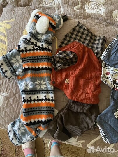 Одежда для собак