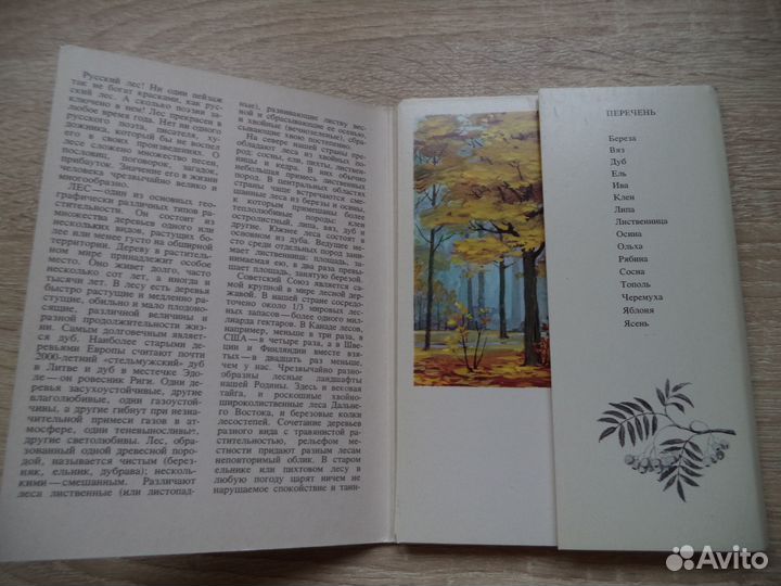 Русский лес