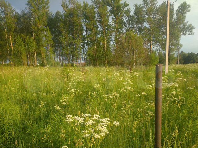 Участок 25 сот. (ИЖС)