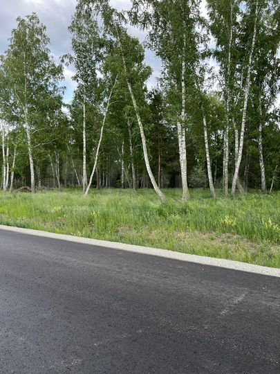 Участок 11,5 сот. (ИЖС)