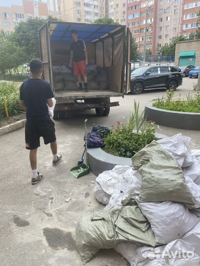 Демонтаж, Вывоз мусора, грузчики