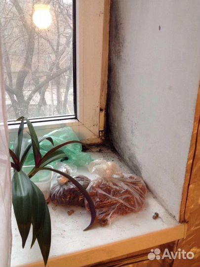 Ремонт окон, установка, обслуживание