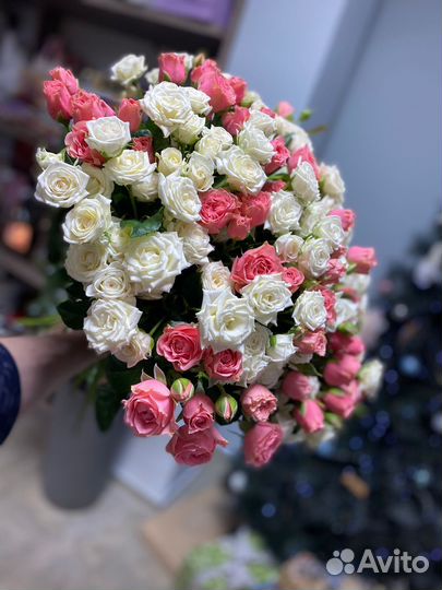 Роза кустовая XXL