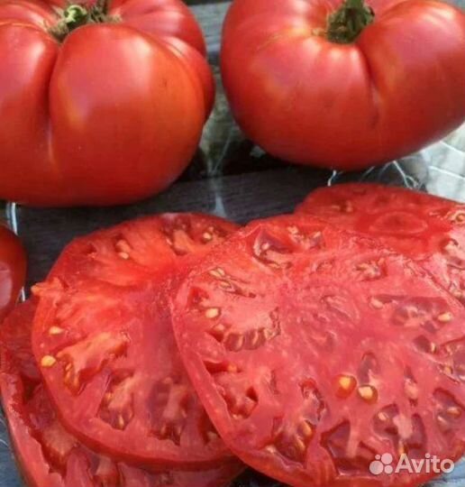Семена помидор СССР
