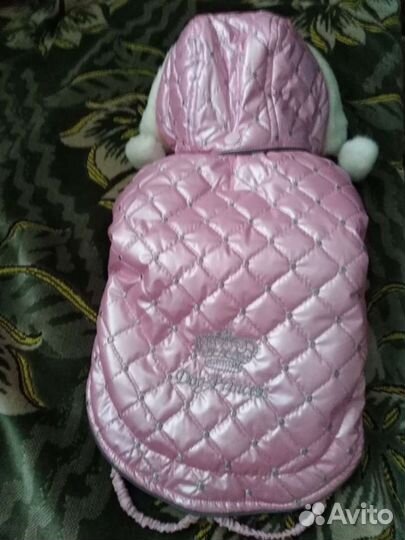 Курточка для чихуахуа