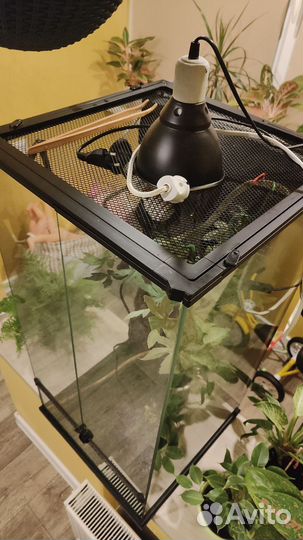 Террариум для хамелеона 90 45 45