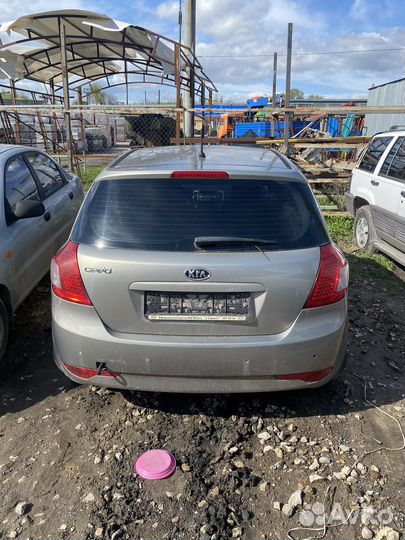 Kia ceed разбор