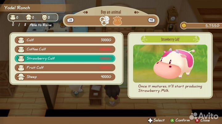 Story of Seasons - Friends Of Mineral Town Switch