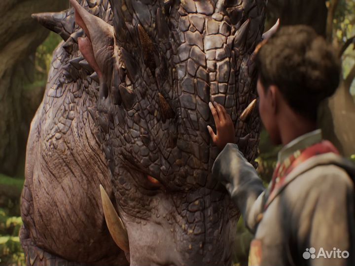 Hogwarts Legacy Deluxe Edition PS4/PS5 ру